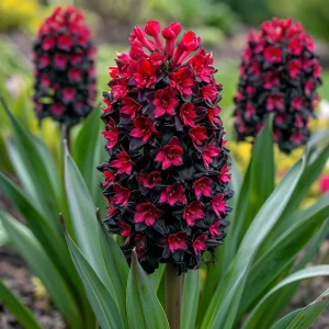 Гиацинт Джем Стоун купить по цене от 2099р. в интернет-магазине «Посадика» с доставкой почтой в в Охае и по всей России – [изображение №1].