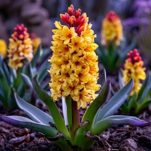 Гиацинт Миднайт Мистери купить по цене от 2099р. в интернет-магазине «Посадика» с доставкой почтой в в Охае и по всей России – [изображение №1].