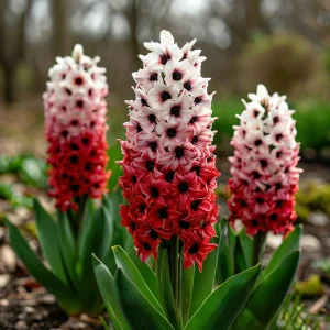 Гиацинт Скай Гарден купить по цене от 2099р. в интернет-магазине «Посадика» с доставкой почтой в в Охае и по всей России – [изображение №1].